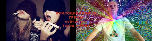 синтетический гашиш Волоколамск