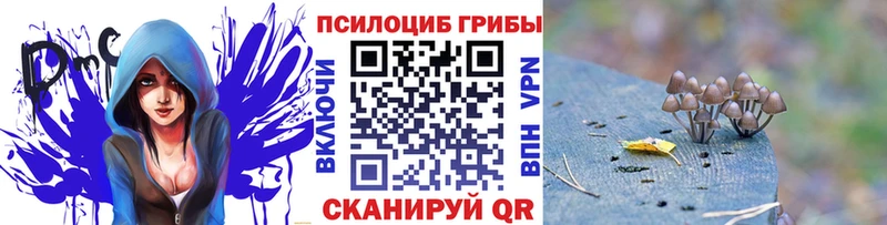 Псилоцибиновые грибы Psilocybe  omg рабочий сайт  Калтан 